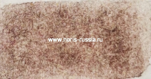 Ван-Дик (Кассельский) коричневый 100 гр., Натуральный пигмент, Kremer фото 2